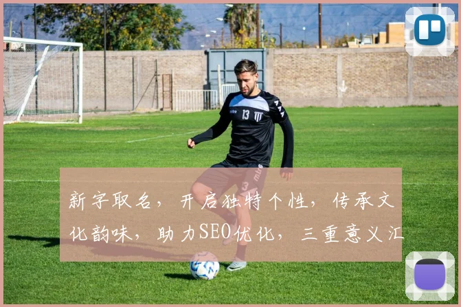 新字取名，开启独特个性，传承文化韵味，助力SEO优化，三重意义汇聚一身。
