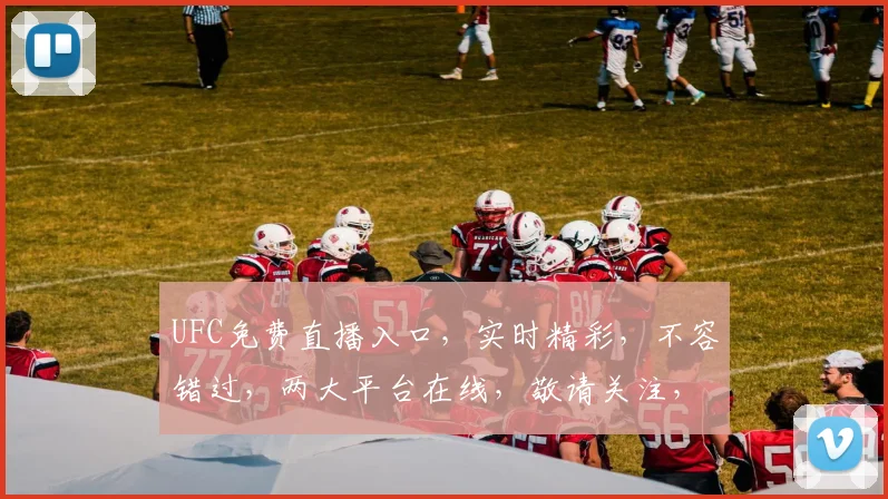 UFC免费直播入口，实时精彩，不容错过，两大平台在线，敬请关注，精彩赛事，等你来观